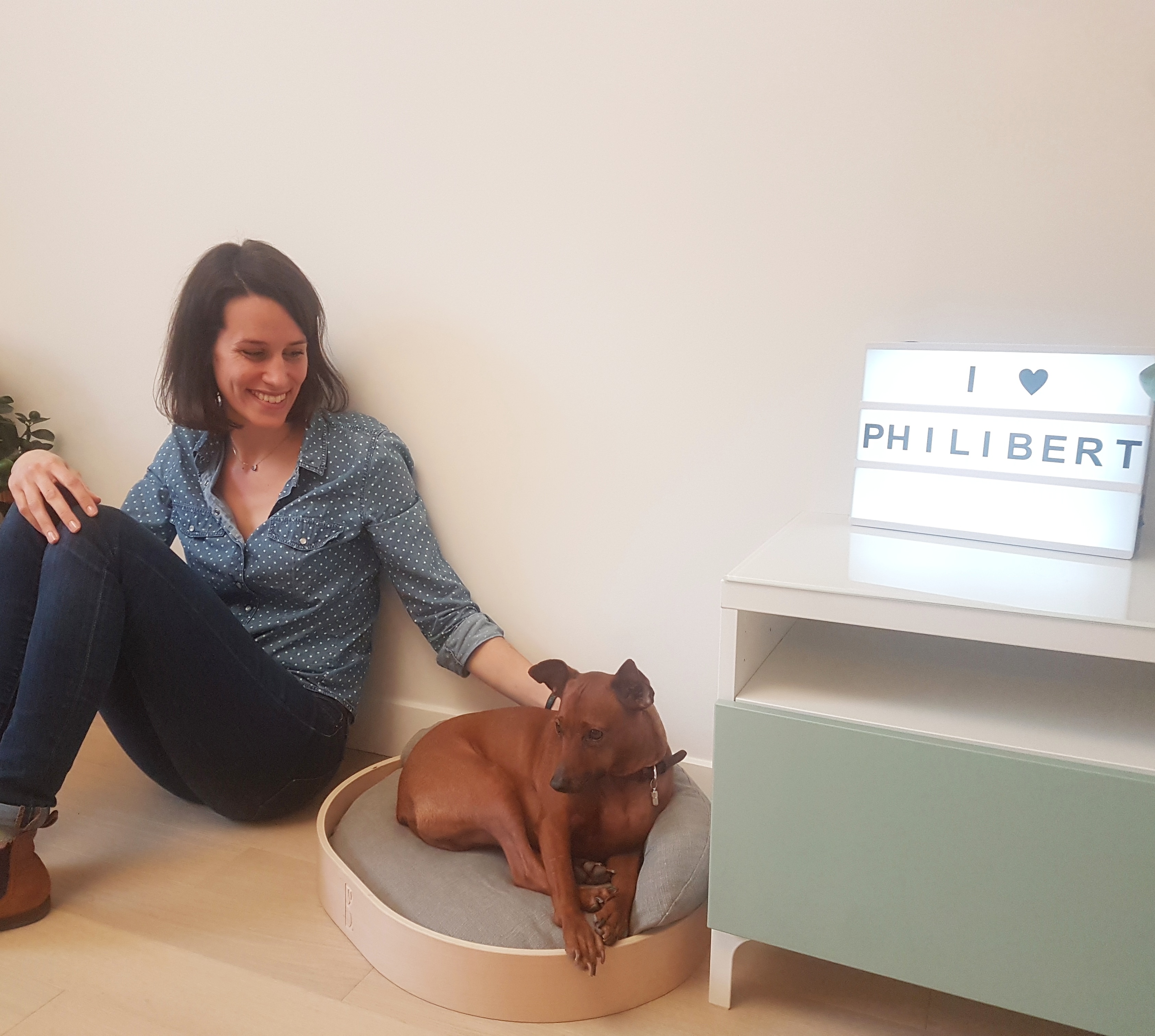 PHILIBERT, mobilier élégant pour chiens exigeants - Ulule